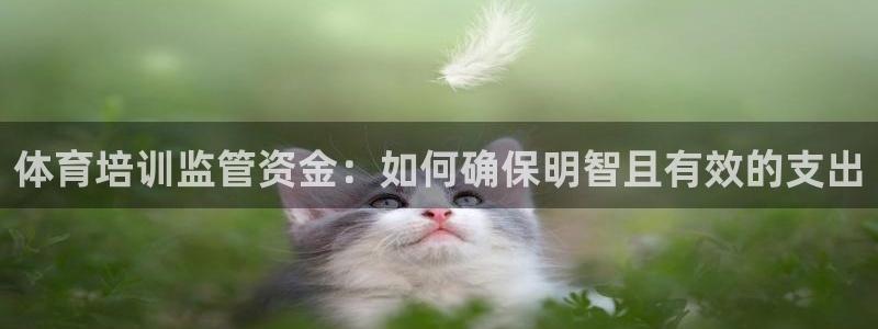 富联是什么意思网络用语：体育培训监管资金：如何确保明智且有效