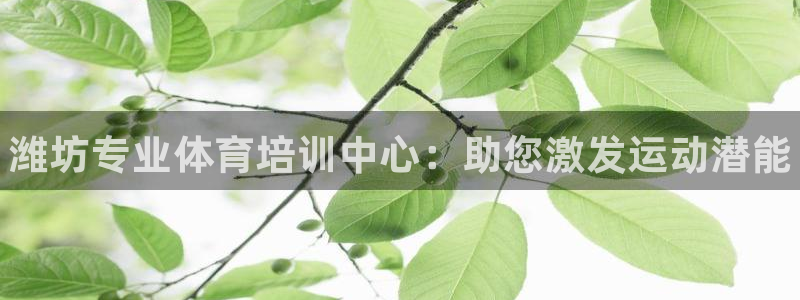 富联平台选 58534I 富联：潍坊专业体育培训中心：助您激