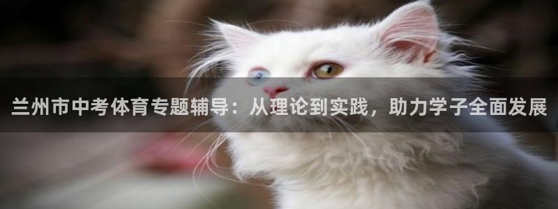 富联娱乐官方网站首页入口