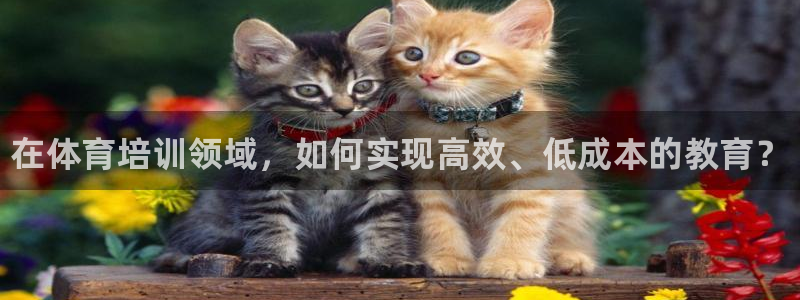 富联娱乐爱7O777：在体育培训领域，如何实现高效、低成本的