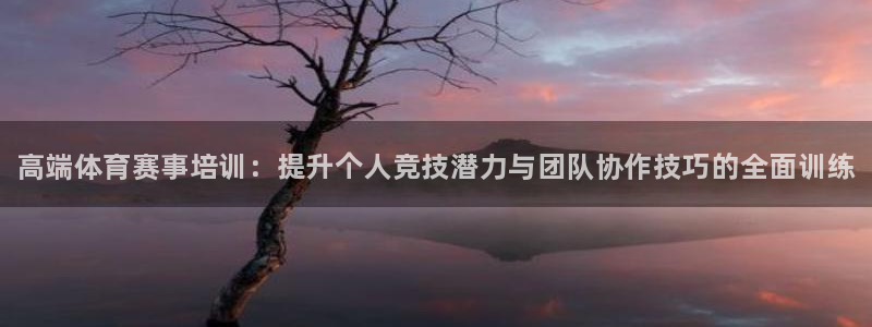 富联平台注册登录不上：高端体育赛事培训：提升个人竞技潜力与团