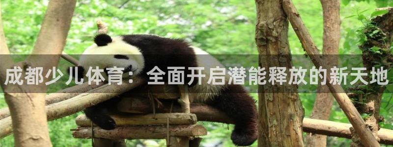 富联官方网站入口下载安装：成都少儿体育：全面开启潜能释放的新