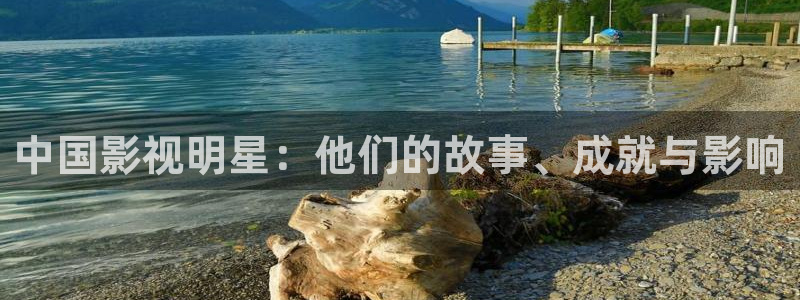 汤姆tom影院：中国影视明星：他们的故事、成就与影响