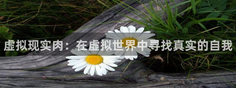 汤姆影音：虚拟现实肉：在虚拟世界中寻找真实的自我