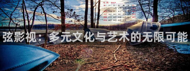 汤姆网站：弦影视：多元文化与艺术的无限可能