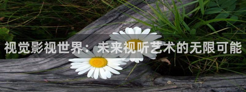汤姆在线成人影院：视觉影视世界：未来视听艺术的无限可能