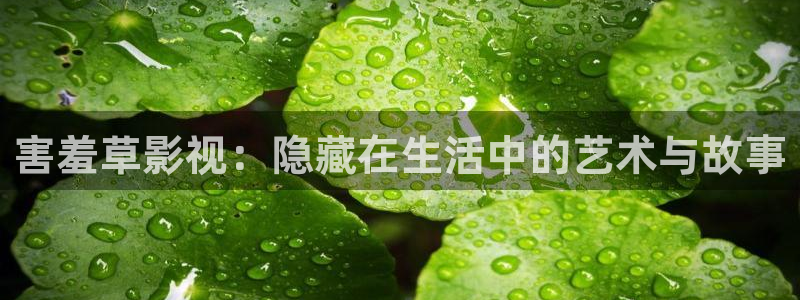 汤姆在线观看免费版：害羞草影视：隐藏在生活中的艺术与故事