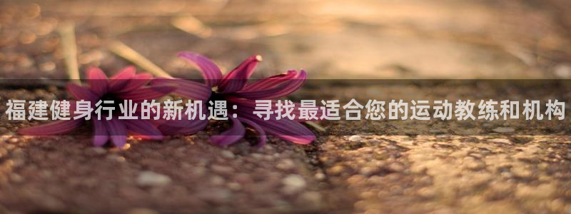富联是什么：福建健身行业的新机遇：寻找最适合您的运动