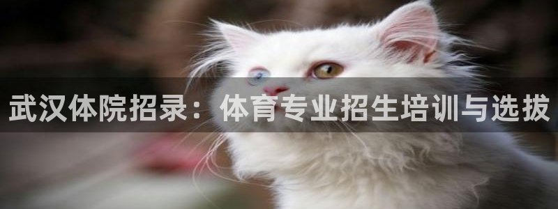 富联平台安装：武汉体院招录：体育专业招生培训与选拔